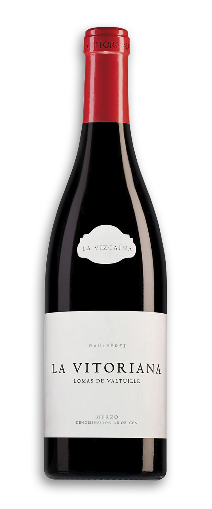 raul_perez-la_vitoriana-sombra