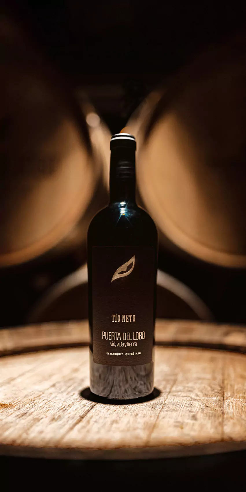 wow-wine-club-puerta-del-lobo-2