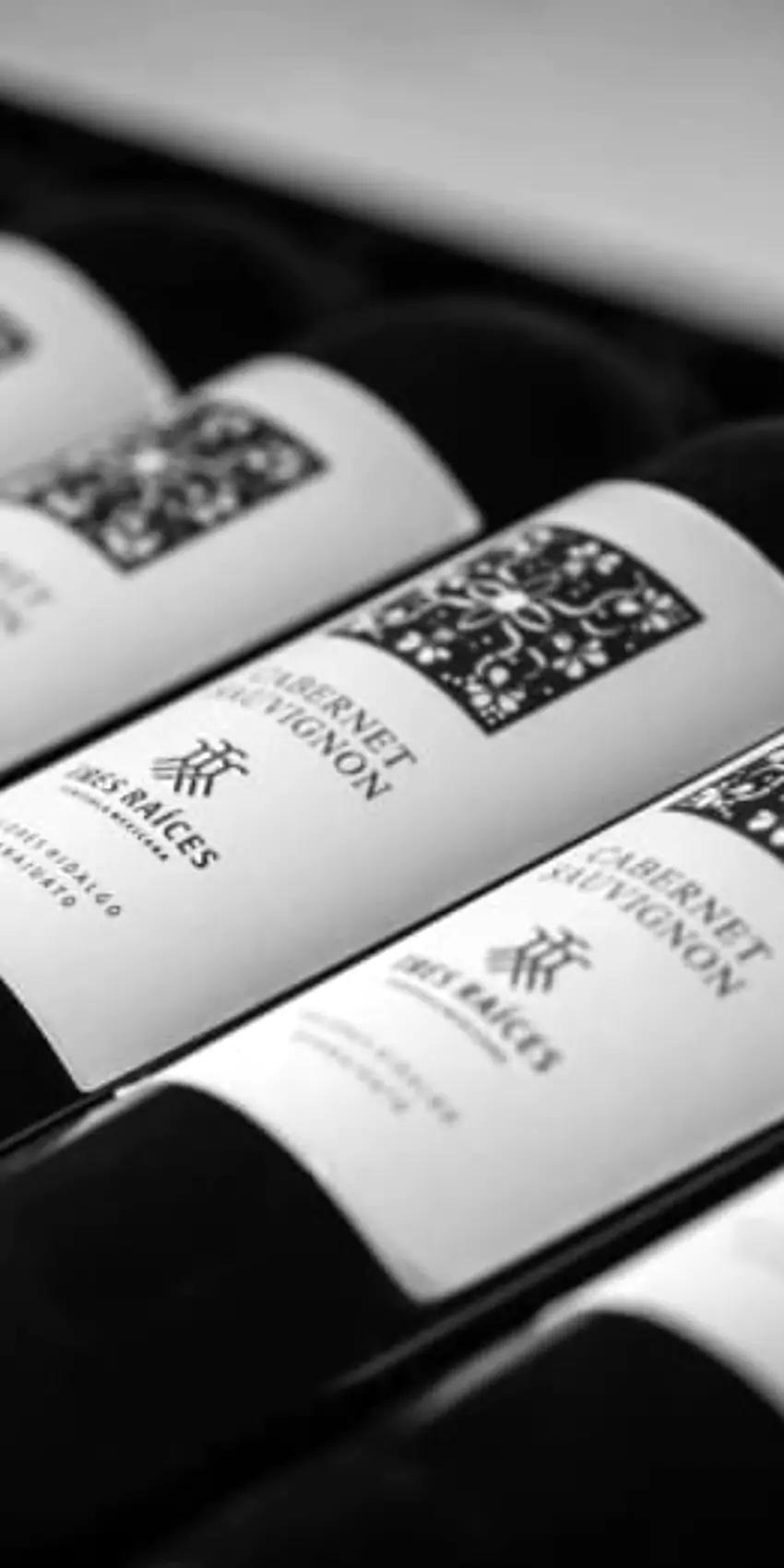 wow-wine-club-tres-raices-cata-1