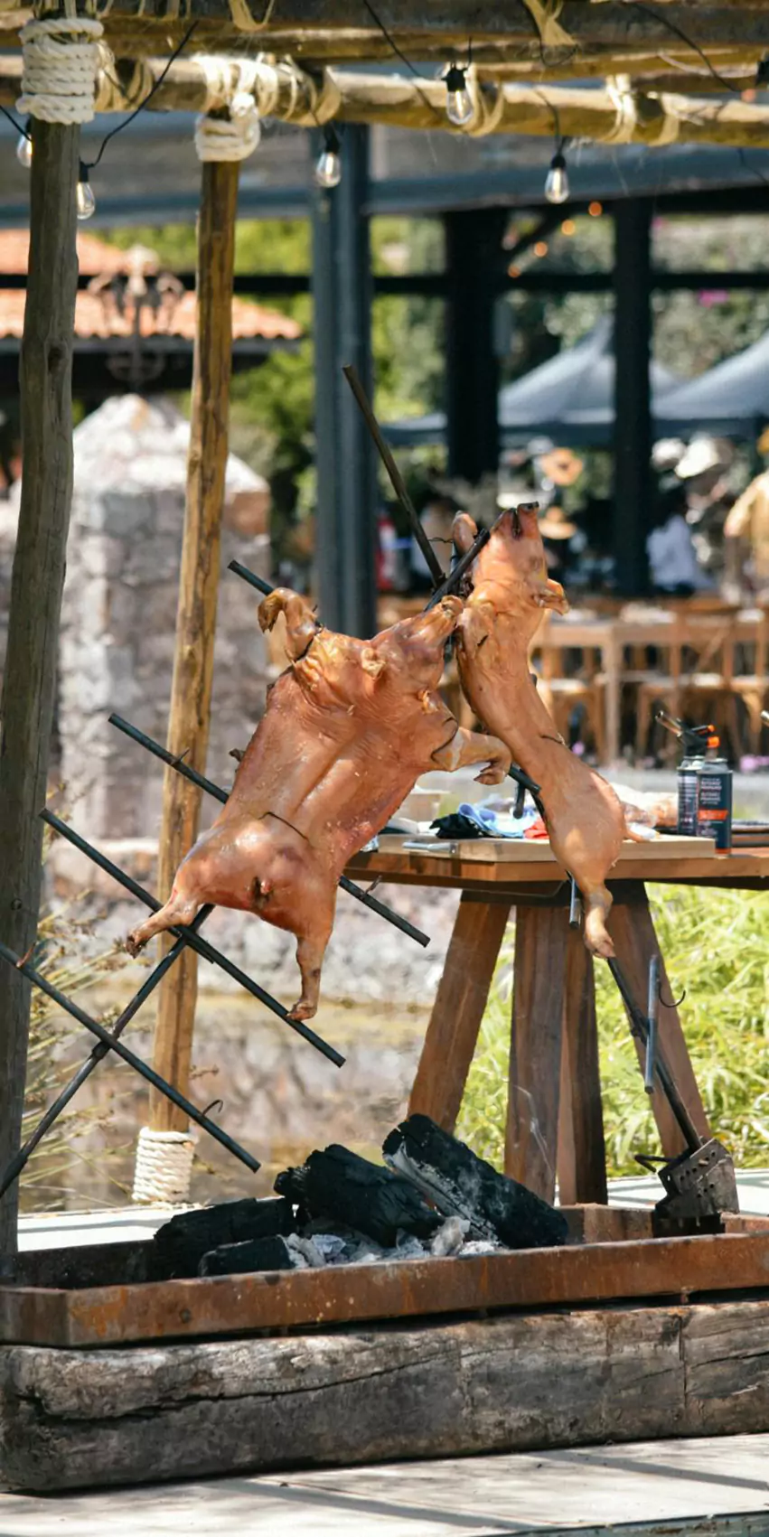 wow-wine-club-hacienda-san-jose-lavista-10