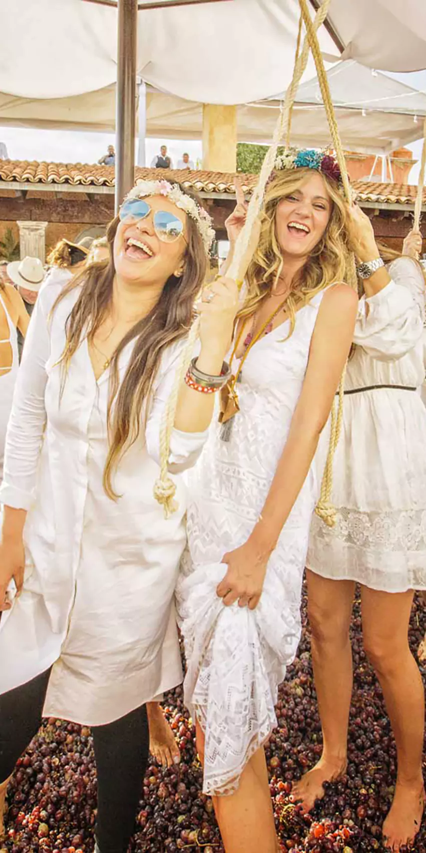 wow-wine-club-hacienda-san-jose-lavista-3