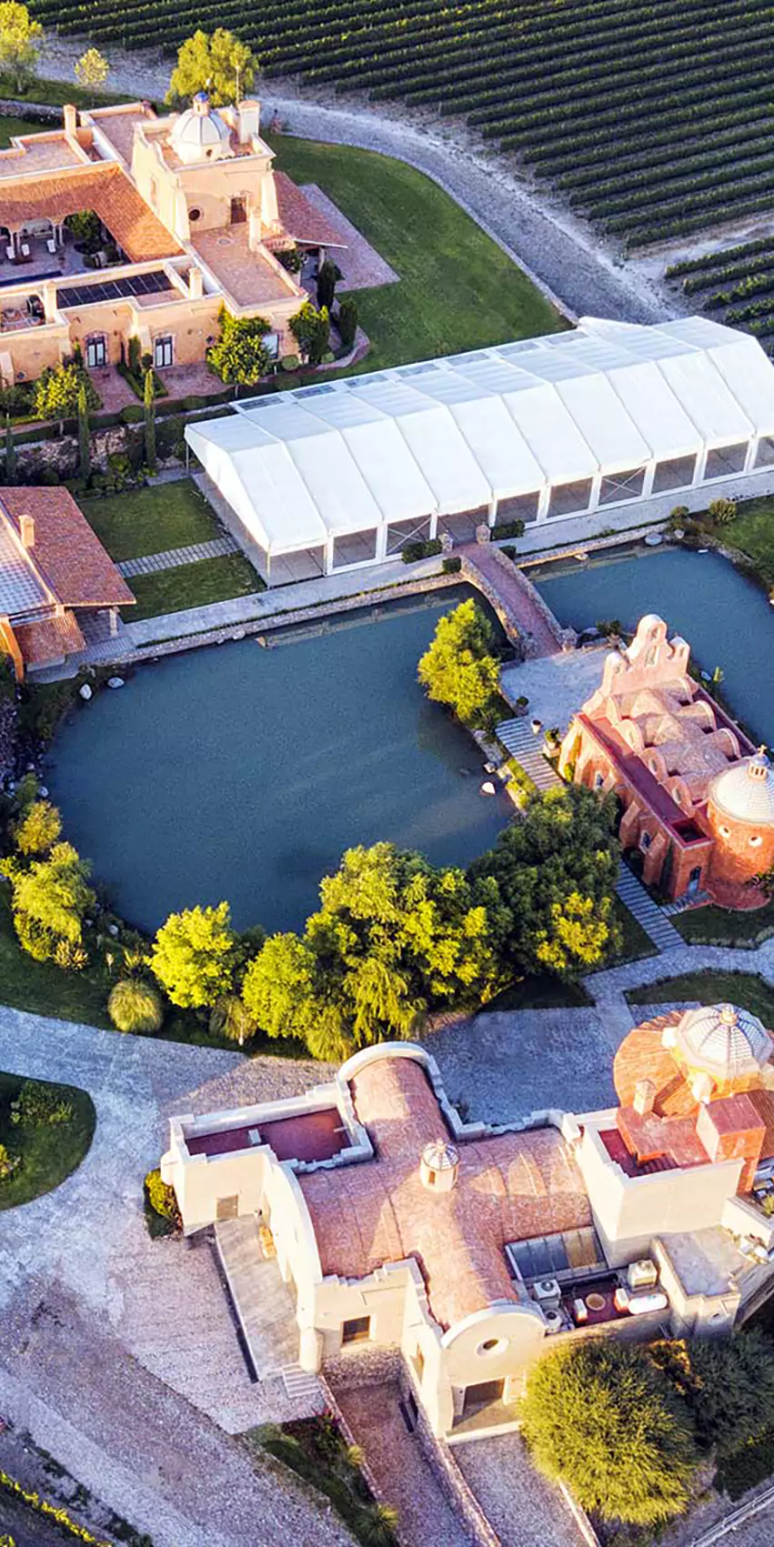 wow-wine-club-hacienda-san-jose-lavista-4