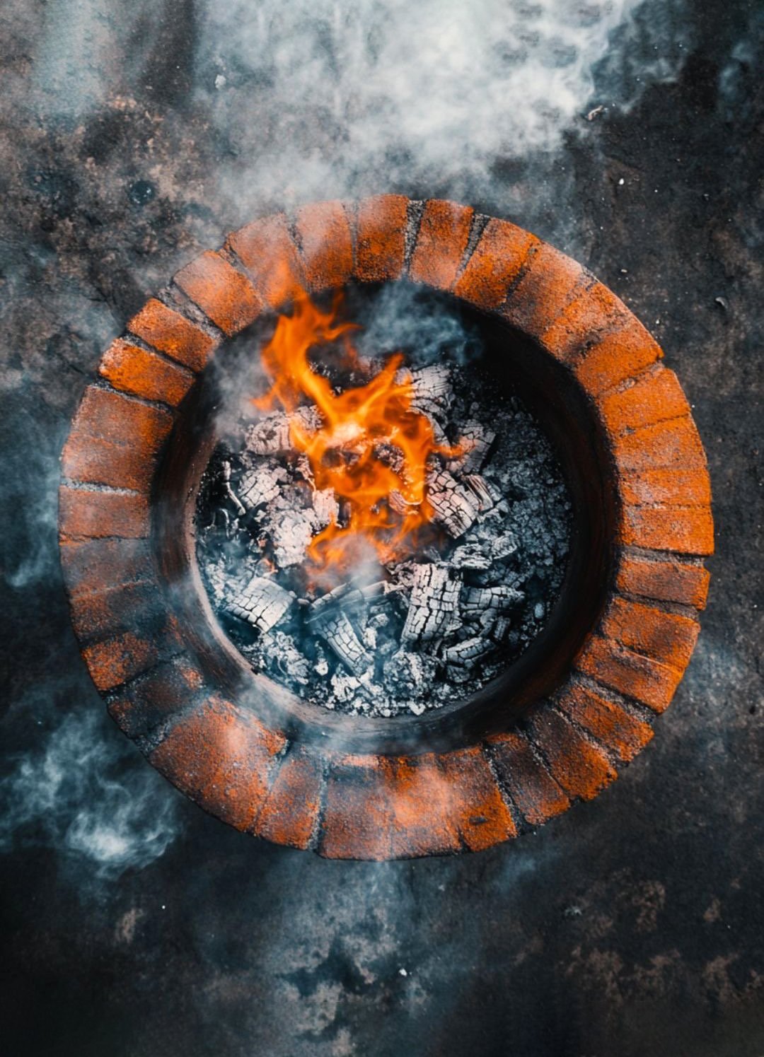 wow_wine_club-our_habitas-cochinita_pibil-6