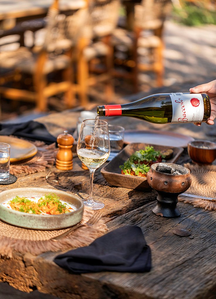 wow_wine_club-our_habitas-cochinita_pibil-7